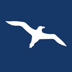 New Albatros