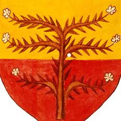 Studio Medico Malaspina