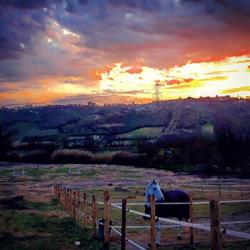 ASD Cladi Horse Club