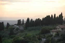 Borgo Renaio Guardistallo