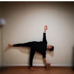 YOLOS asd YOGA e TAI CHI