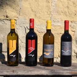 Cantine dell'Averno