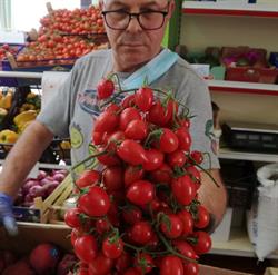 Fior di Frutta da Coccioli Luigi