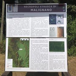 Necropoli Etrusca di Malignano