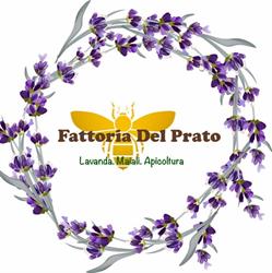 Fattoria del Prato