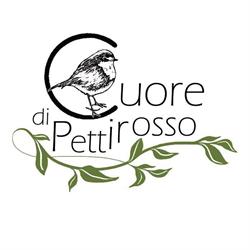 CUORE DI PETTIROSSO di Sonia Casari
