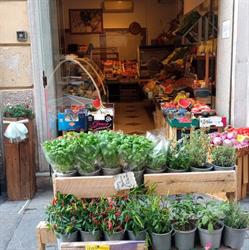 Frutta e verdura di Antonella