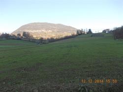 Azienda Agricola e Trasformazioni prodotti propri Ruscio Vincenzo