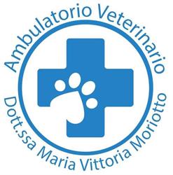 Ambulatorio Veterinario Dott.ssa Maria Vittoria Moriotto a Roncade