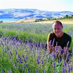 Fattoria la Farfalla