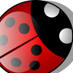 Coccinella