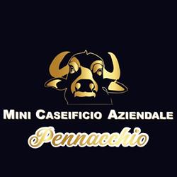 Mini Caseificio Aziendale Pennacchio