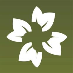 Vitalinfa