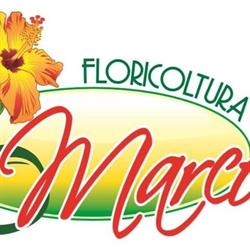 Floricoltura Marcon
