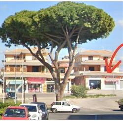 SENTI CHE Bufala Siamo a Tor S Lorenzo - Ardea in Via Della Moletta 1b sul