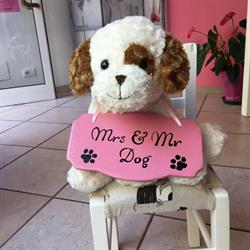 Mrs & Mr Dog