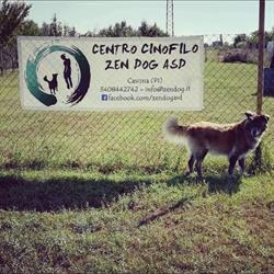 Centro cinofilo Zen Dog asd