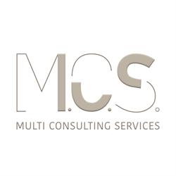 Mcs multi consulting services