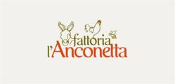 Fattoria l'Anconetta
