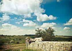 Parco Alta Murgia bnb