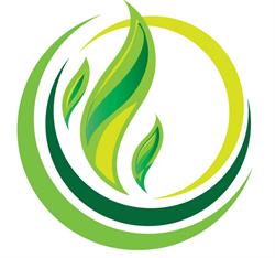 Ecofire srls