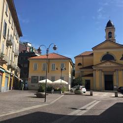 La curt del sedes