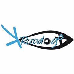 Kruddogo officine del pesce