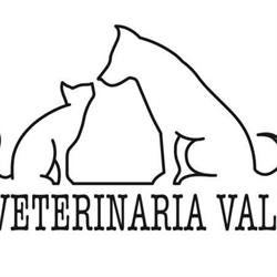 Clinica Veterinaria Valdostana srl stp