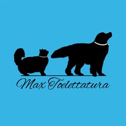 Max Toelettatura