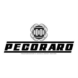 Pecoraro Trasformatori e Avvolgimenti Motori Elettrici di Vincenzo Pecoraro