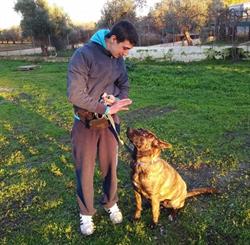 DOG training Giorgio Congedi