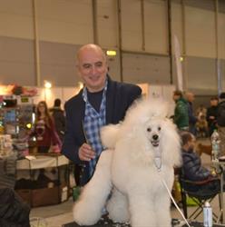 DOG SHOW