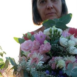 Piante e Fiori Cinzia