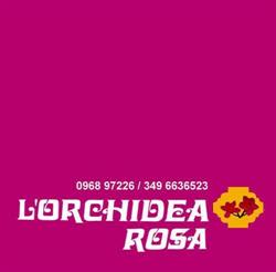 L'Orchidea Rosa