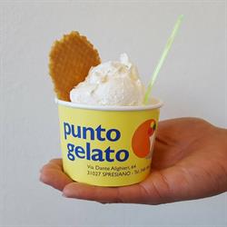 Punto Gelato Spresiano