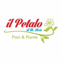 IL Petalo