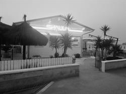 Lido Shaula