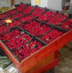 Ortofrutta Sarda S.R.L