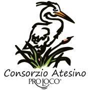 Consorzio Pro Loco Atesino