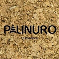 Palinuro ristopesce