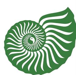 CorpoePsyche
