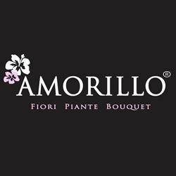 Amorillo Legnano