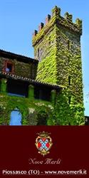 Castello Nove Merli