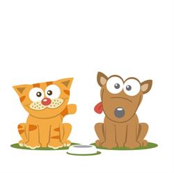 MIAO BAU