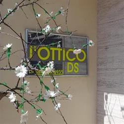 L'Ottico DS