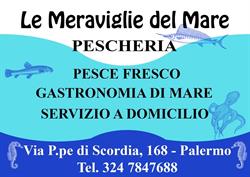 Pescheria Le Meraviglie Del Mare