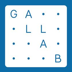 Gallab