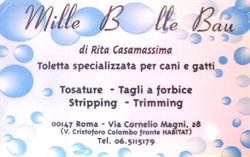 Mille Bolle Bau Roma