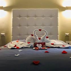 Venustas Roma Hotel
