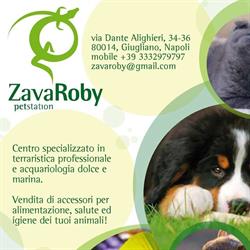 Zavaroby Pet station di Davide Ciro Zavarone